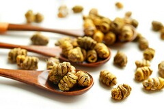 苏菲的世界读后感与心得_苏菲的世界读书心得体会