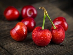 汽车质押合同书