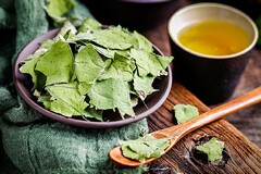 国家规定的工程合同范本