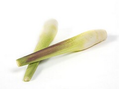 石油买卖交易规则