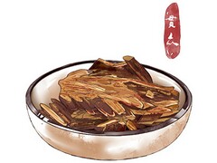 专业的个人简历(个人简历的专业技能)
