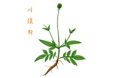 常用美好的早安问候语短信32条_简短的美好的早安祝福语30条