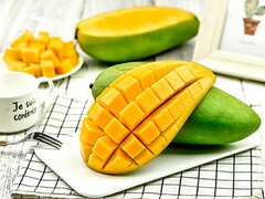食品企业实习报告怎么写_在企业的实习报告