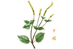 圆的面积教学设计_圆柱的体积表面积教学设计
