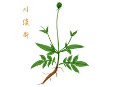 劳动教育课程的心得体会100字