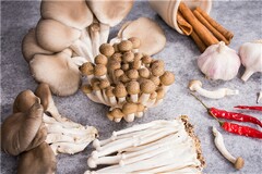 最新采购合同_最新钢材合同