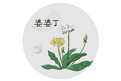 农副产品采购合同