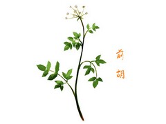 危险品押运员年终总结_押运员个人年终总结
