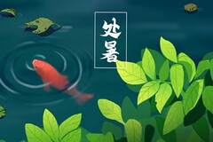 小学公开课听评课活动总结(小学教师听评课总结)