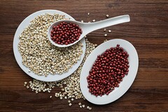 版街边商铺租赁合同_商铺租赁合同专用纸
