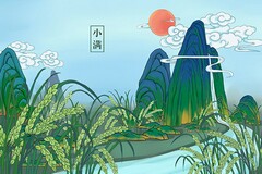 幼儿美术大班教学计划_幼儿园大班美术方面总结