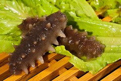 万能顶岗周记_万能顶岗周记40篇300字