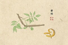 教师学习师德师风心得体会优秀(学习师德师风典型案例心得体会)