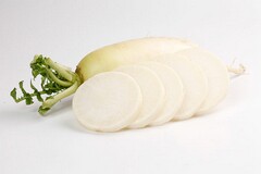 废弃厂房租赁合同书