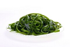 监理合同