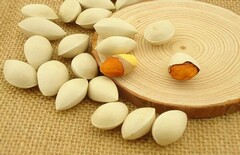 美术兴趣班主要教些什么