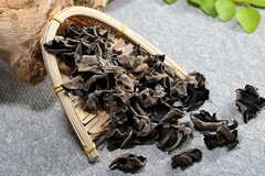 不动产抵押借款合同版(用房产证抵押借款的合同)