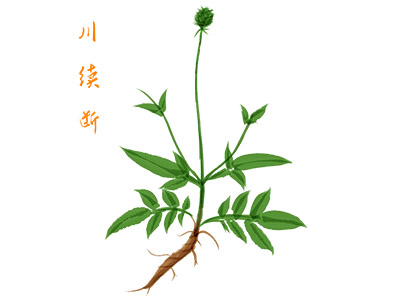 建筑工程水电施工分包合同(建筑水电分包合同)
