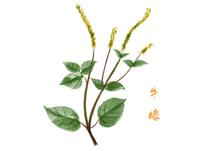 第三方合同(第三方合同)