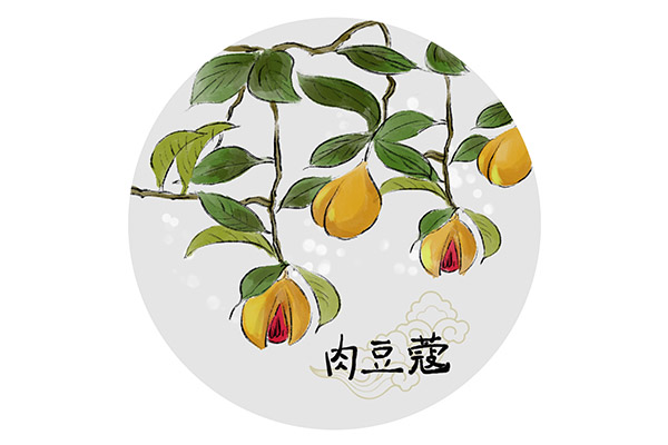 外科医师的述职报告_医院外科主任医师个人述职报告
