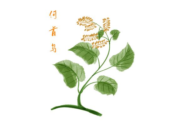 网络校园安全培训总结(校园网络安全防范知识培训)