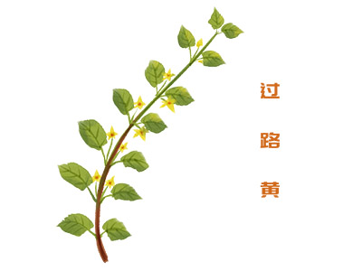 门面经营转让合同(门面转让合同去哪里弄)