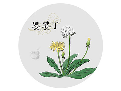 岗位实习报告_岗位实习报告1500字