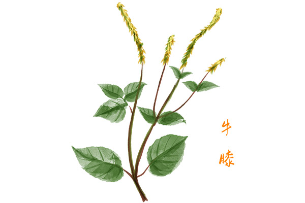 石料供货合同(石料供货合作协议书)