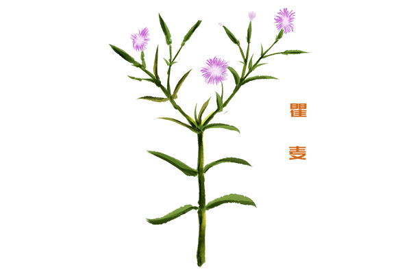 长城说课稿(壮美的长城说课稿)