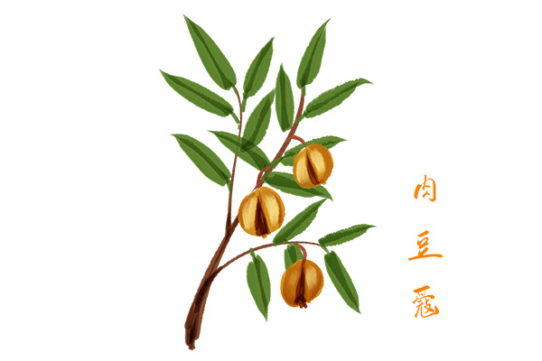 大学新生入学教育心得(大学入学教育心得)