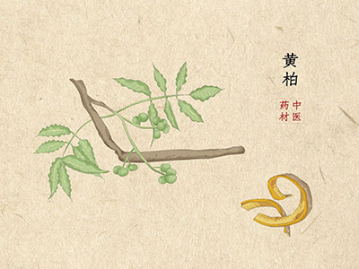 聘用合同和劳动合同的区别