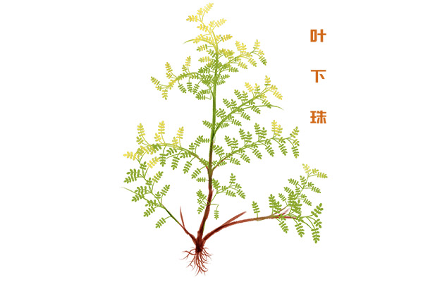 公司合同(公司合同图片)