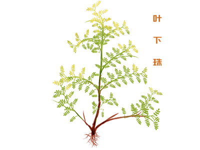 拾金不昧表扬信(拾金不昧表扬信简短的感谢信)