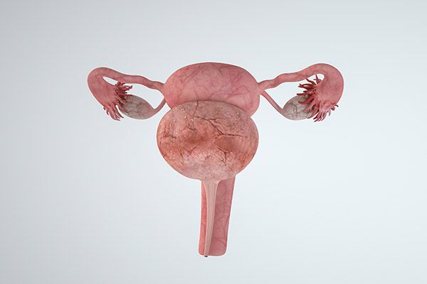 幼儿园个人年度工作计划(幼儿园卫生保健年度工作计划)