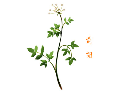 超声科医师个人述职报告(超声科医生个人述职报告范文)