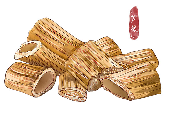 音响小学作文_音响作文开头