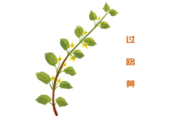 周记350字中秋节_中秋节周记400字