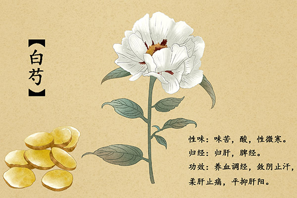 老年人照护都有哪些内容_老年人的照护方案