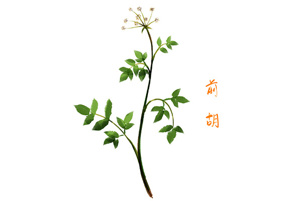三方合作投资简单版合同_三方的合作合同怎么写