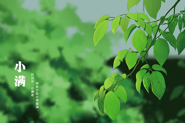 普通员工年终总结及明年计划_普通员工年终工作总结
