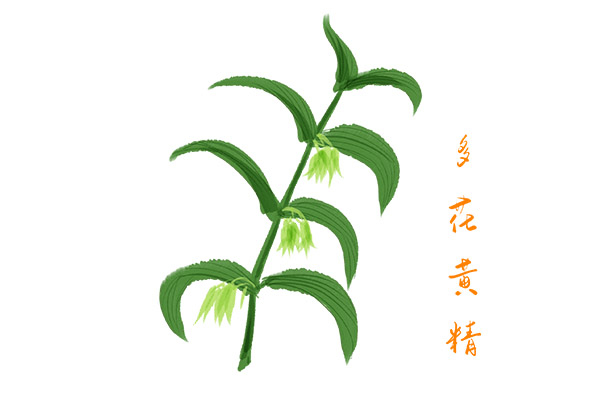老人困难申请书范文_老人困难补助申请书